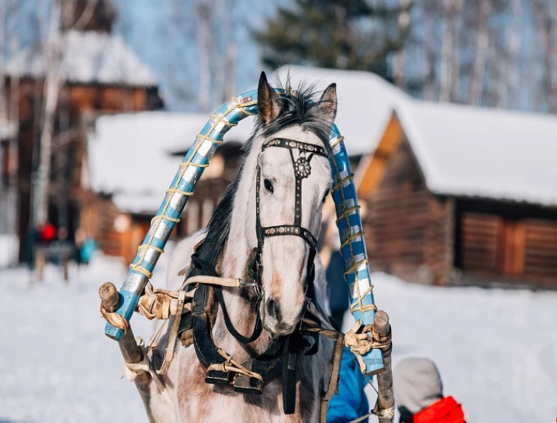 Ленты желаний на священном месте